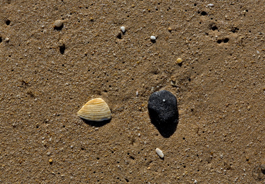 Beach Pebbles - 01-2023