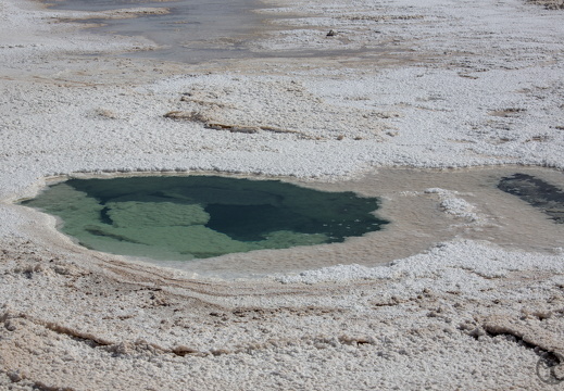 Salty - Lagunas Escondida de Baltinache